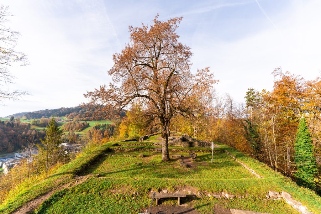 Ruine Altlandenberg ob Bauma im Herbst
