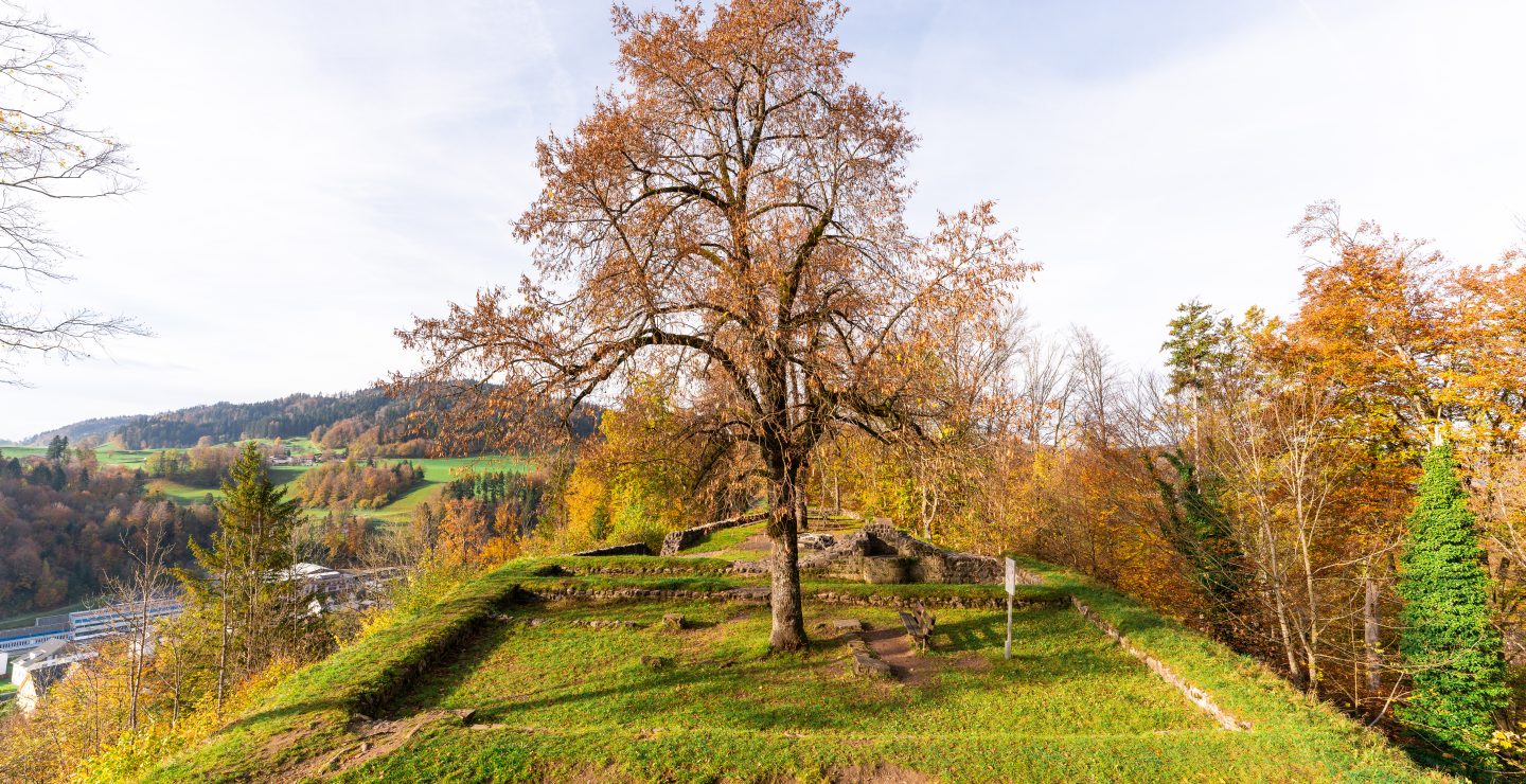 Ruine Altlandenberg ob Bauma im Herbst