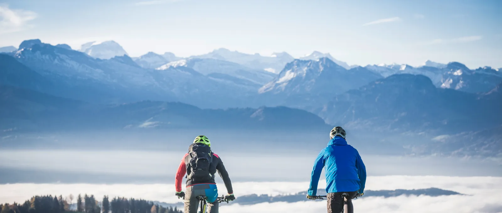 Wald Alp Scheidegg Bike