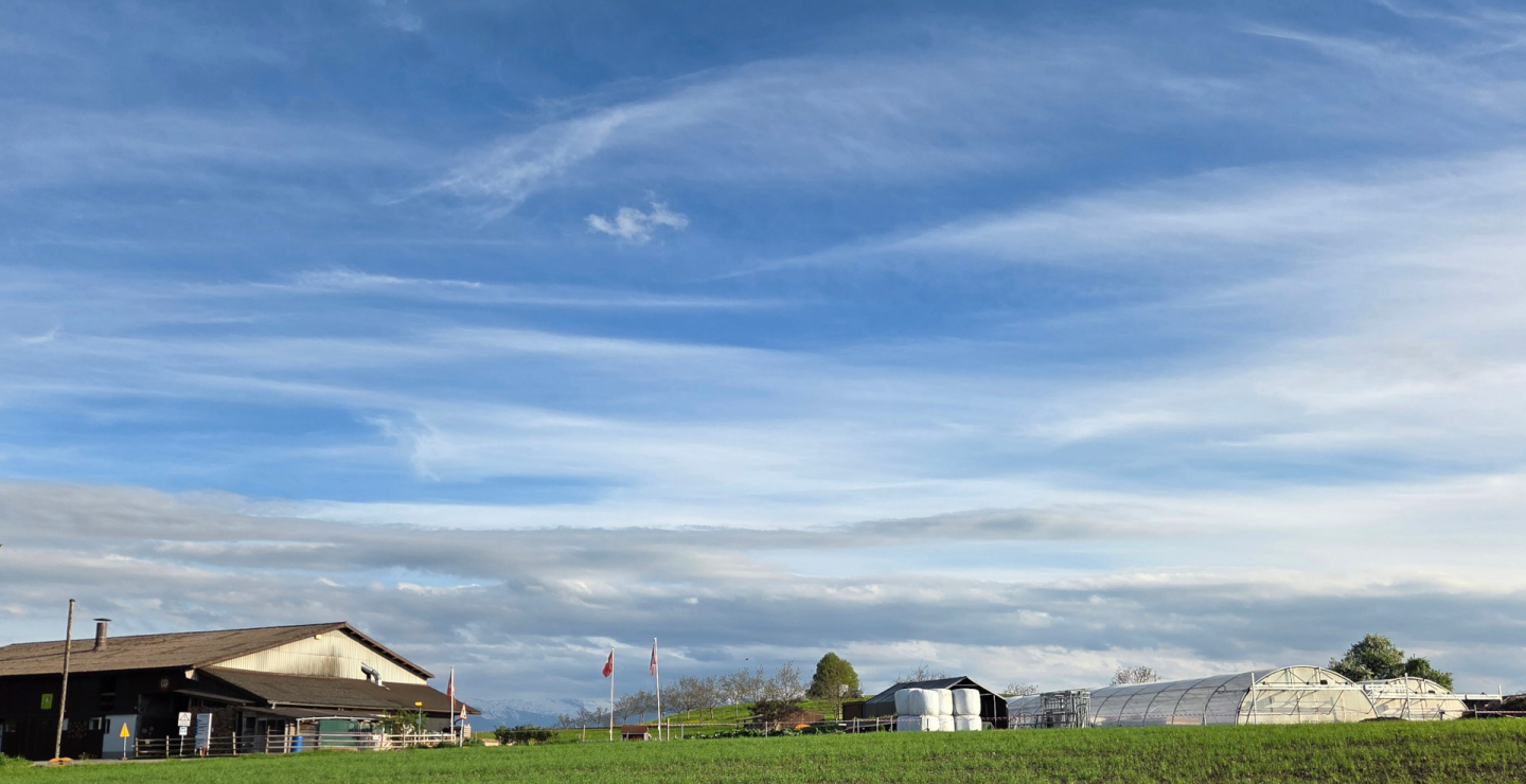 Biohof Platte in Bubikon