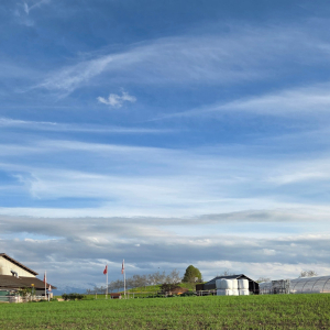 Biohof Platte in Bubikon