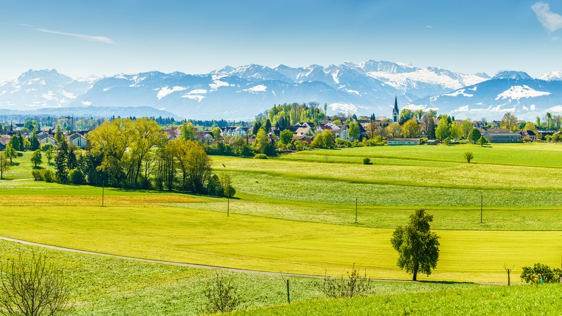Bubikon_Berge_Panorama_Aussicht
