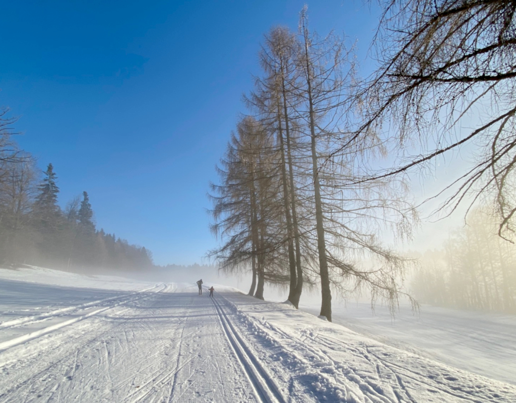 Bild https://www.zuerioberland.ch/app/uploads/hittnau_stoffelloipe_langlauf-51920x1080-1-1024x800.jpg