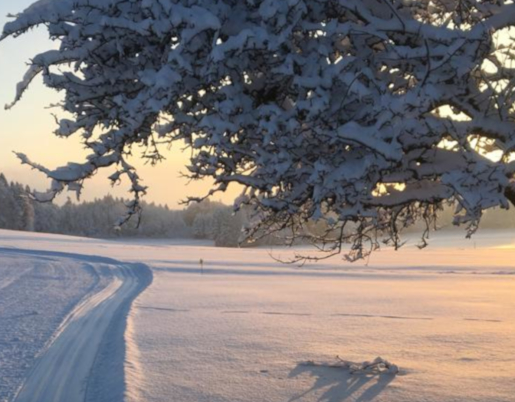 Bild https://www.zuerioberland.ch/app/uploads/kyburg_loipe_first_1920x1080-3-1024x800.jpg