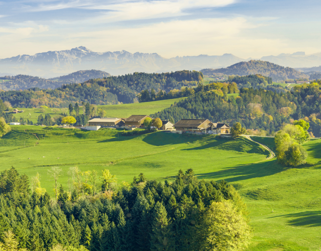 Bild https://www.zuerioberland.ch/app/uploads/sternenberg_web-1024x800.jpg
