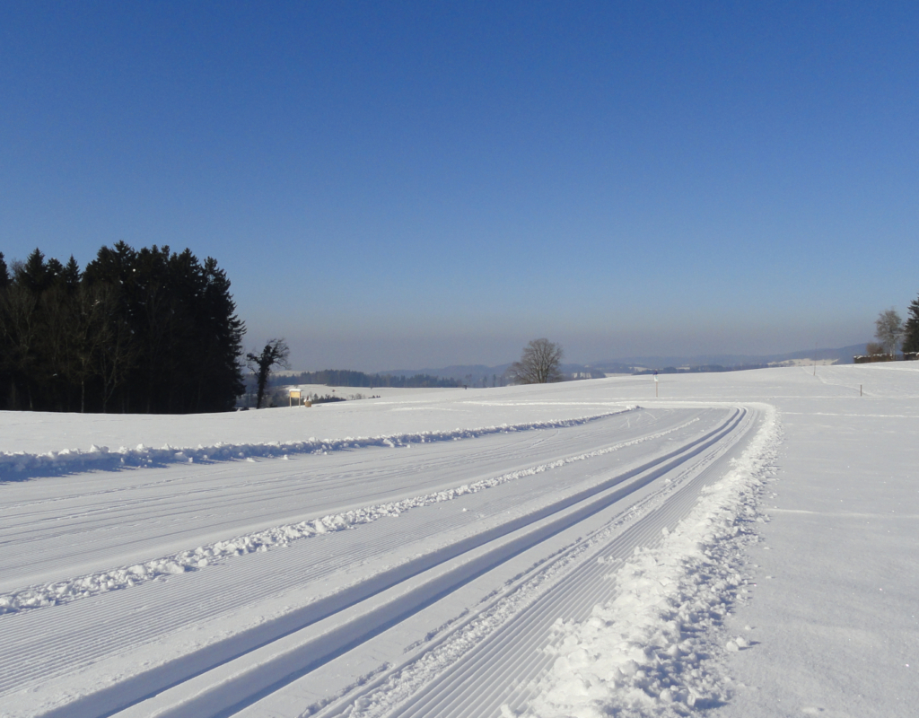 Bild https://www.zuerioberland.ch/app/uploads/wildberg_loipe_schnee_1920x1080-1024x800.jpg