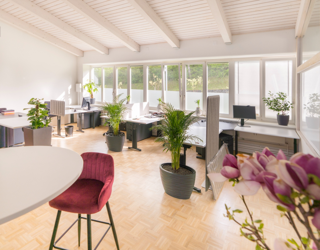 Bild https://www.zuerioberland.ch/app/uploads/workspace21-1024x800.jpg